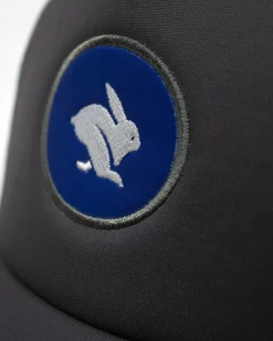 rabbit Goodies><noscript><img width=